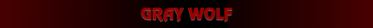 Gray Wolf